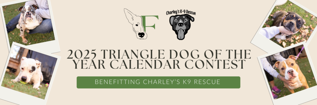 Triangle Dog of the Year Calendar Contest